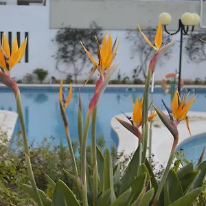 https://apartamento-proximo-da-marina-vilamoura-c-piscina-e.hotelaalgarve.com